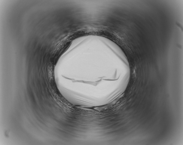 X0000099561348200806131225