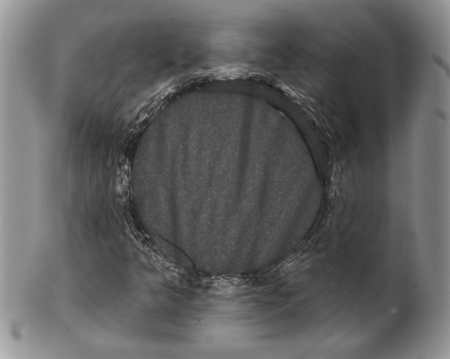 X0000099561349200806131225