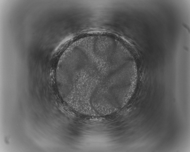 X0000099561351200806131225