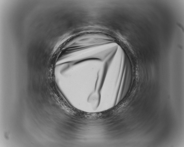 X0000099561352200806131225