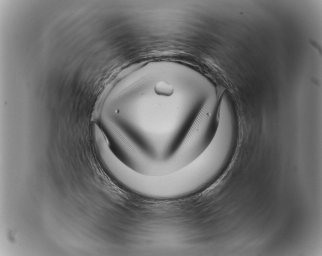 X0000099561353200806131225