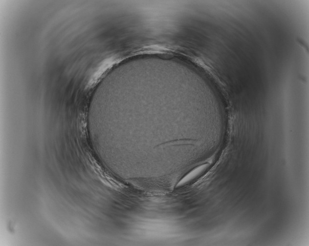 X0000099561355200806131225