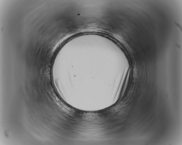 X0000099561356200806131225