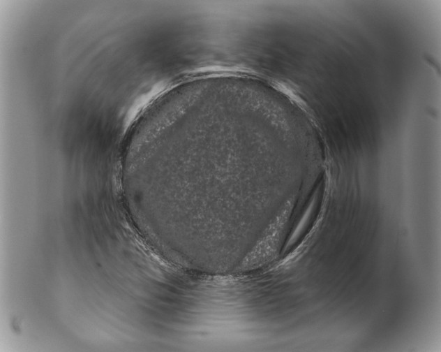 X0000099561357200806131225