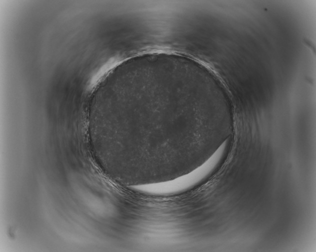 X0000099561359200806131225