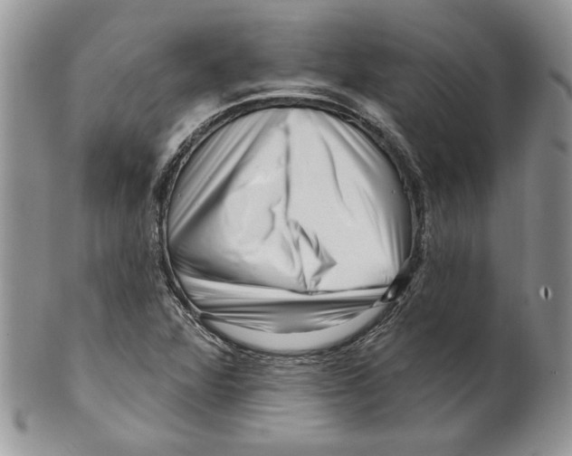 X0000099561360200806131225