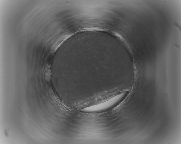 X0000099561361200806131225