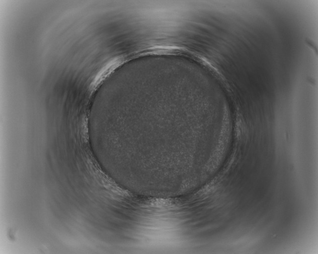 X0000099561362200806131225