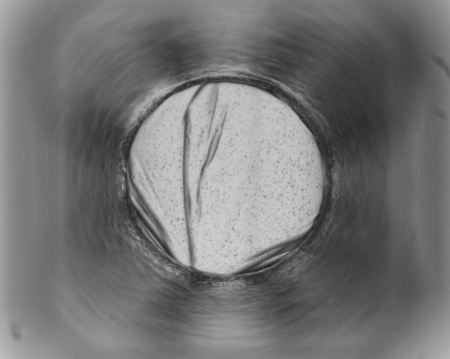 X0000099561363200806131225