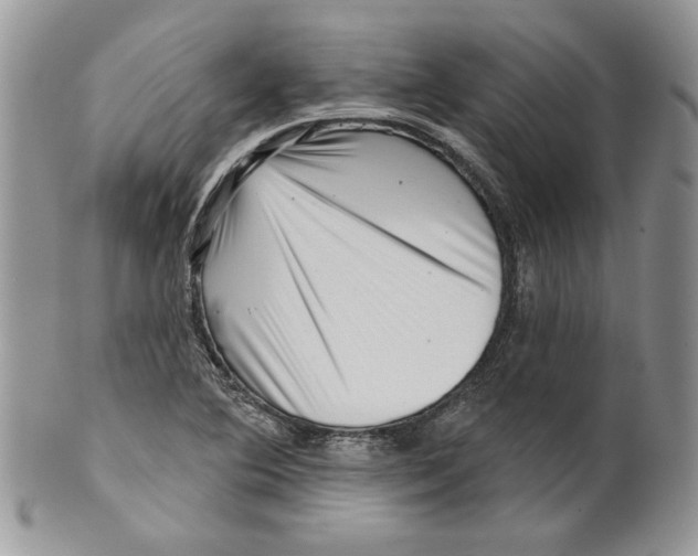 X0000099561364200806131225