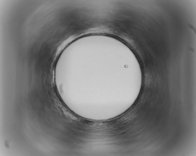 X0000099561366200806131225