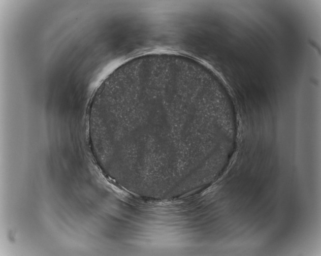 X0000099561367200806131225