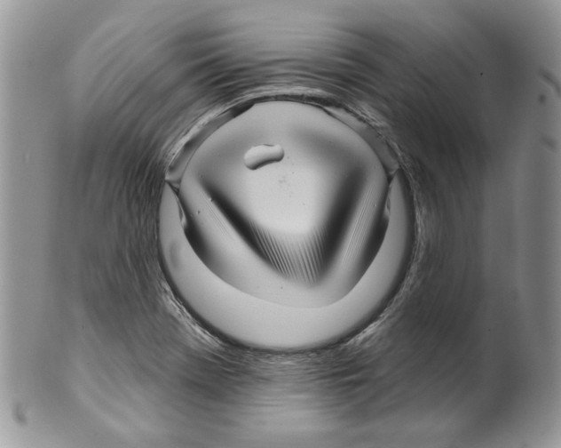 X0000099561369200806131225