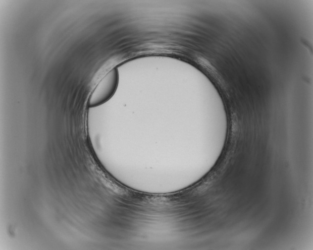 X0000099561370200806131225