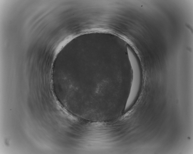 X0000099561373200806131224