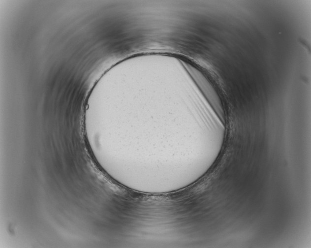 X0000099561374200806131224