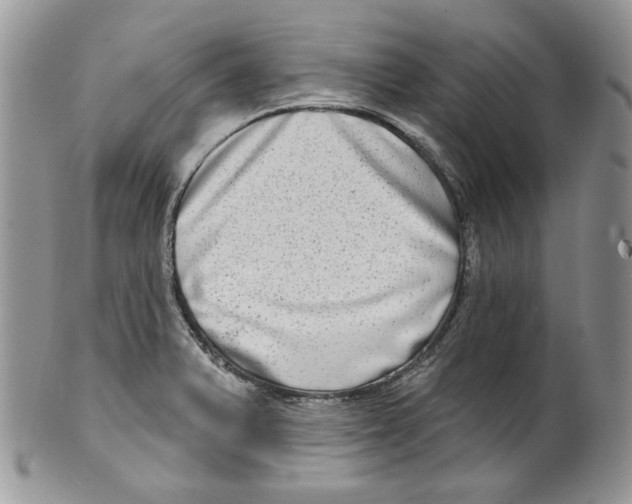 X0000099561375200806131224