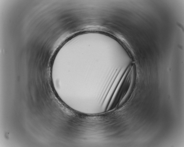 X0000099561376200806131224