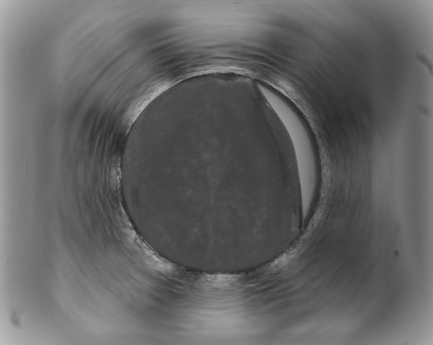 X0000099561377200806131224