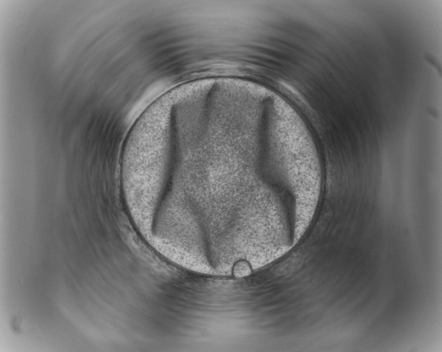 X0000099561378200806131224