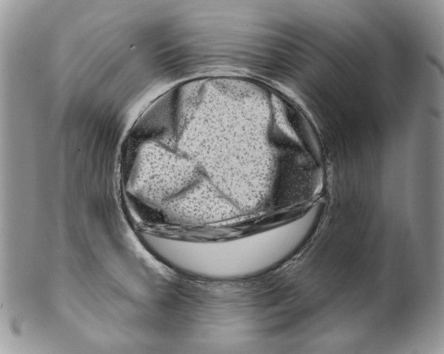 X0000099561379200806131224