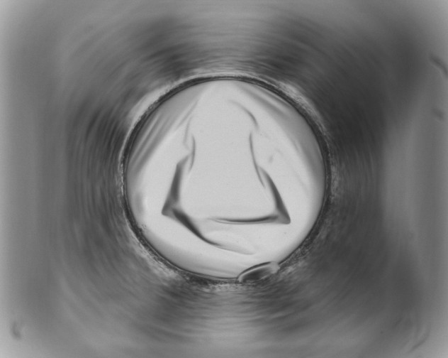 X0000099561380200806131224