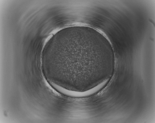 X0000099561381200806131224