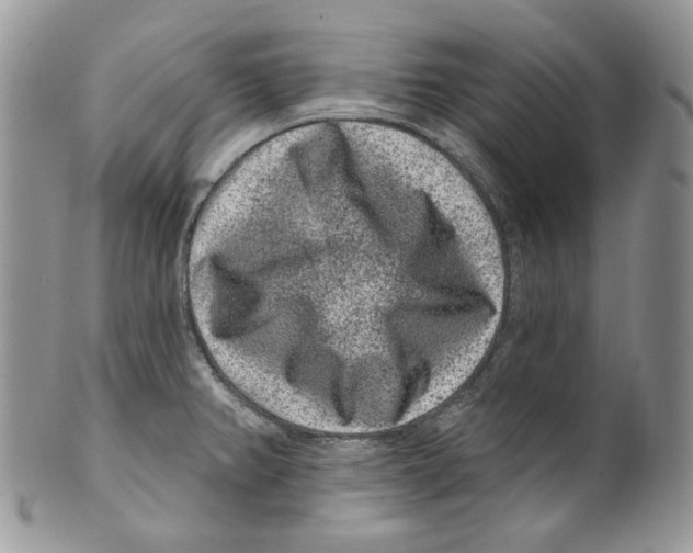 X0000099561382200806131224