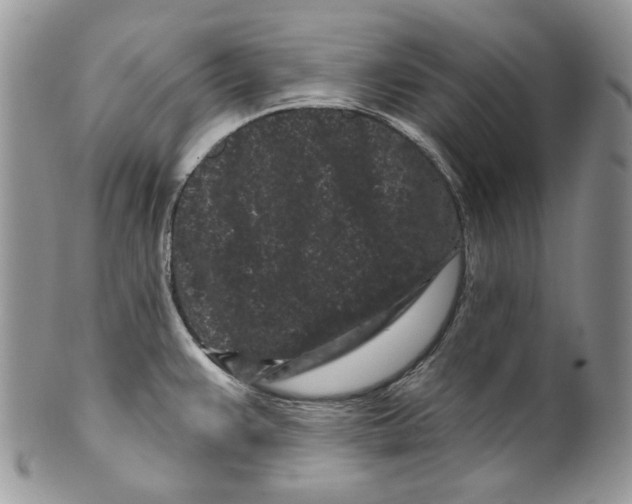 X0000099561383200806131224