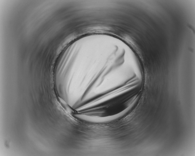 X0000099561384200806131224