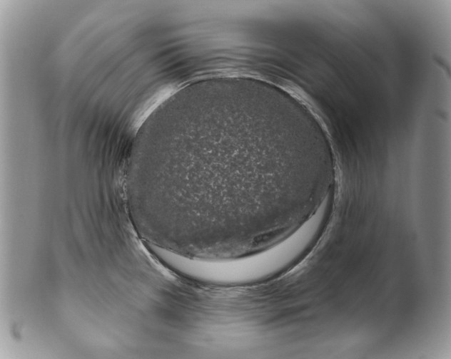 X0000099561385200806131224