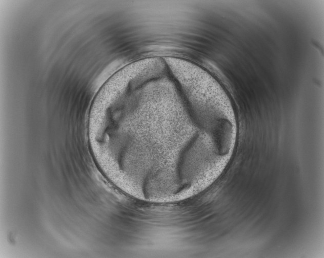 X0000099561386200806131224