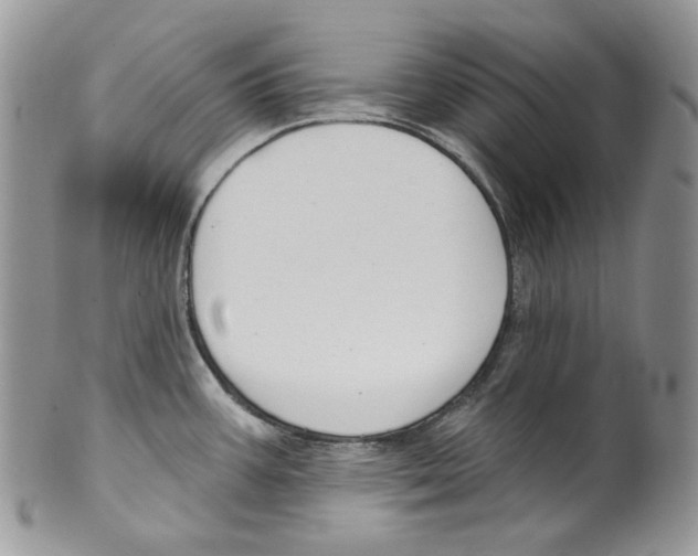 X0000099561387200806131224