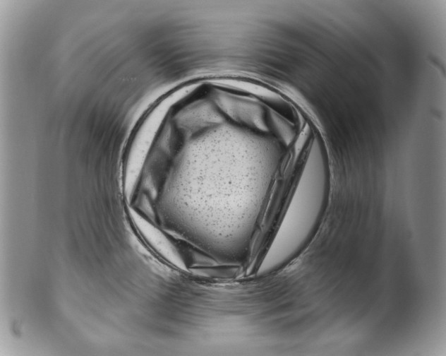 X0000099561388200806131224