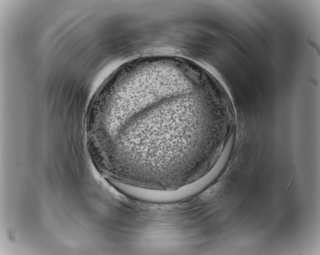 X0000099561389200806131224