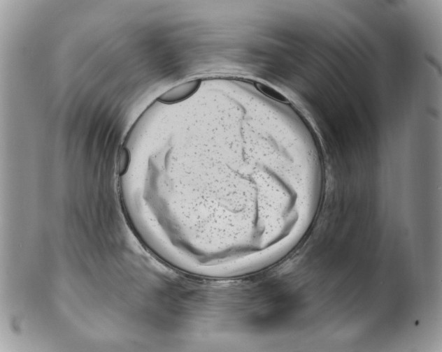 X0000099561390200806131224