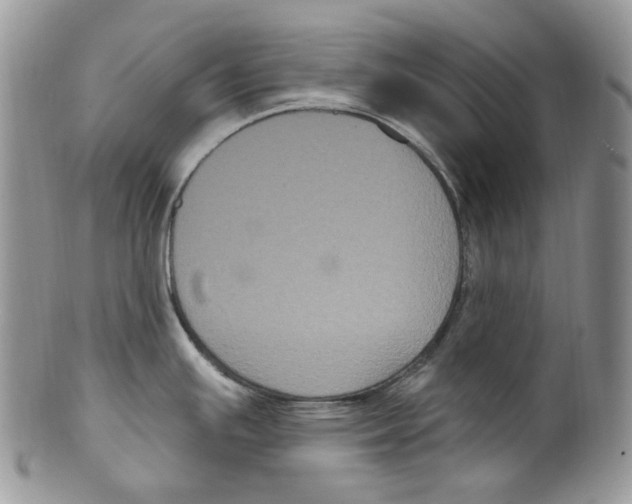 X0000099561391200806131224