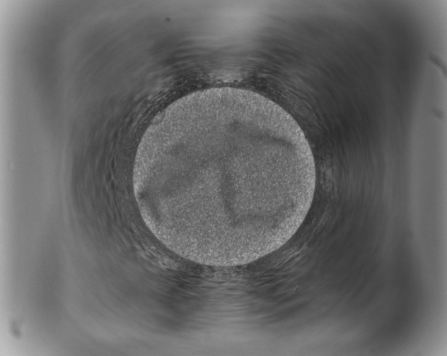 X0000099561393200806131224