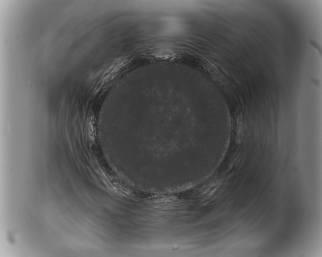 X0000099561394200806131224