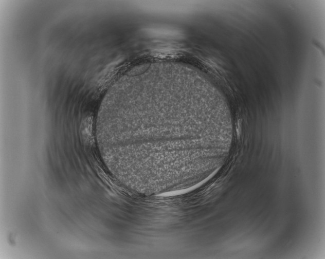 X0000099561396200806131224