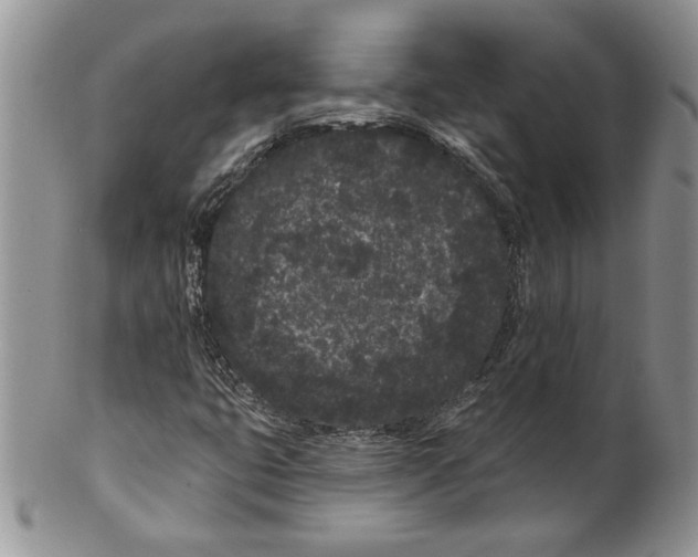 X0000099561399200806131224