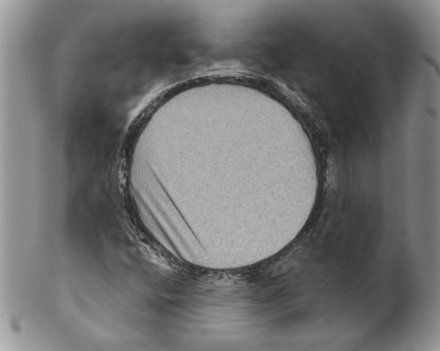 X0000099561400200806131224