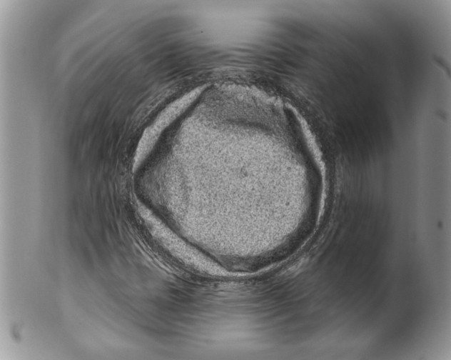 X0000099561401200806131224