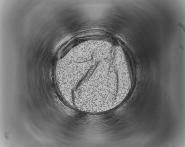 X0000099561402200806131224