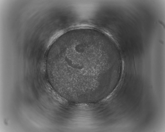 X0000099561405200806131224