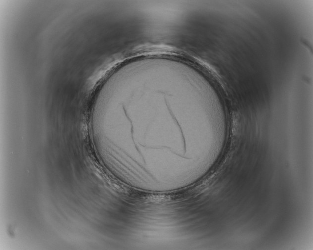 X0000099561407200806131224