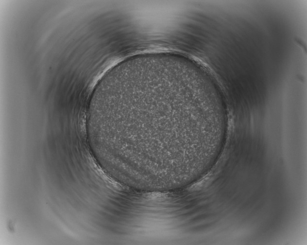 X0000099561409200806131224