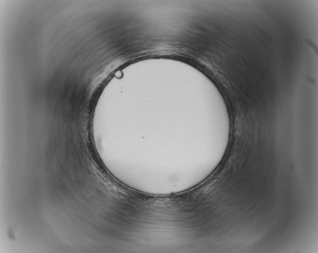 X0000099561410200806131224