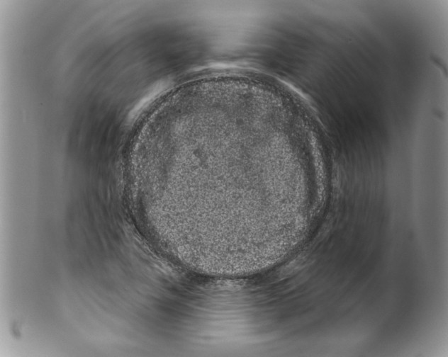 X0000099561411200806131224