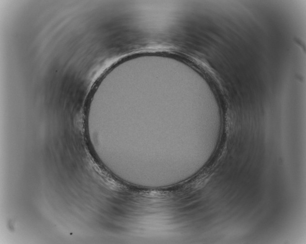 X0000099561412200806131224